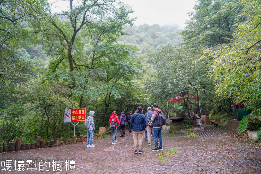 寧夏旅遊六盤山國家森林公園