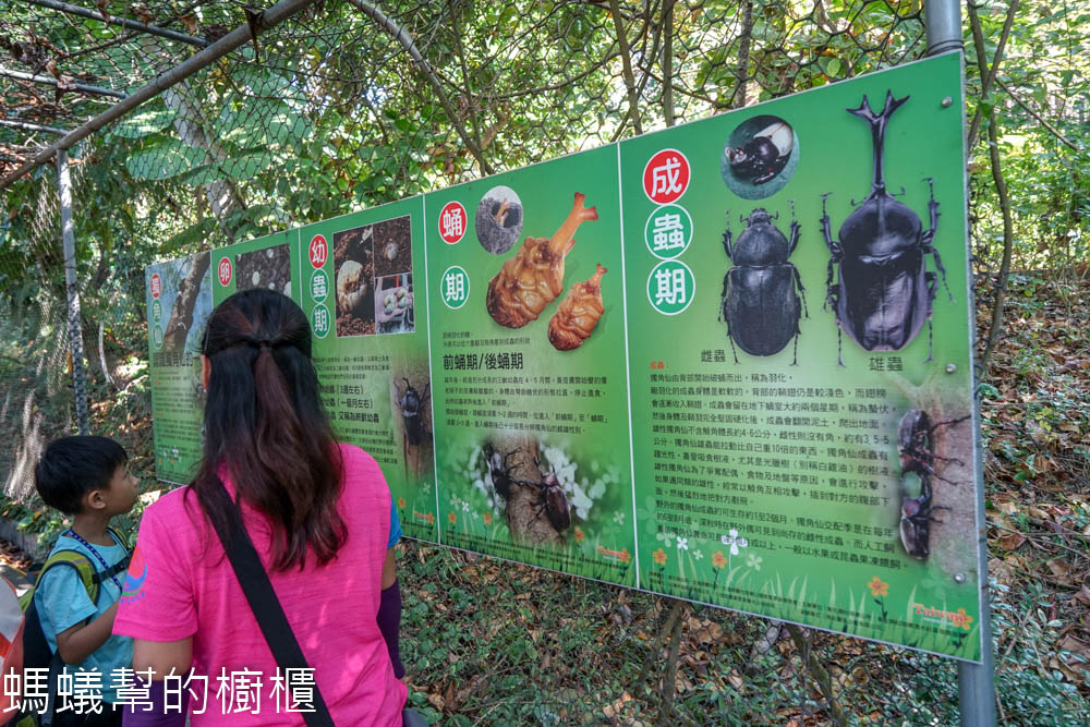 長青森林步道生態導覽