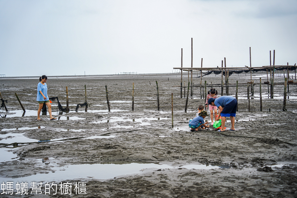 王功旅遊搭鐵牛車挖蛤蜊、海上烤蚵仔吃到飽，就找永昌叔 !