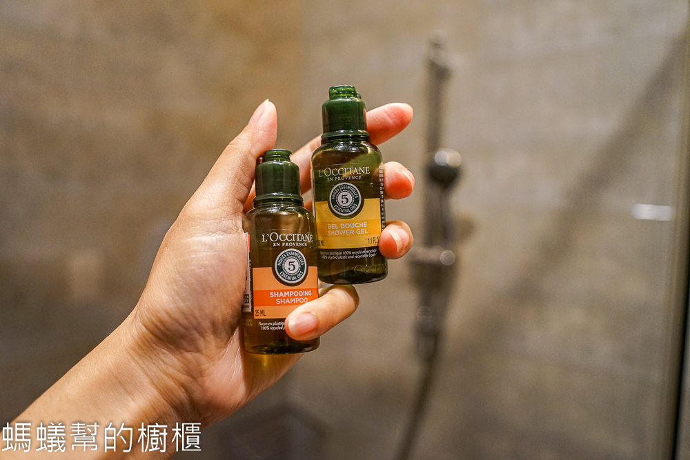 大板根森林溫泉酒店 | 溫泉SPA渡假酒店、太子西餐廳自助餐。