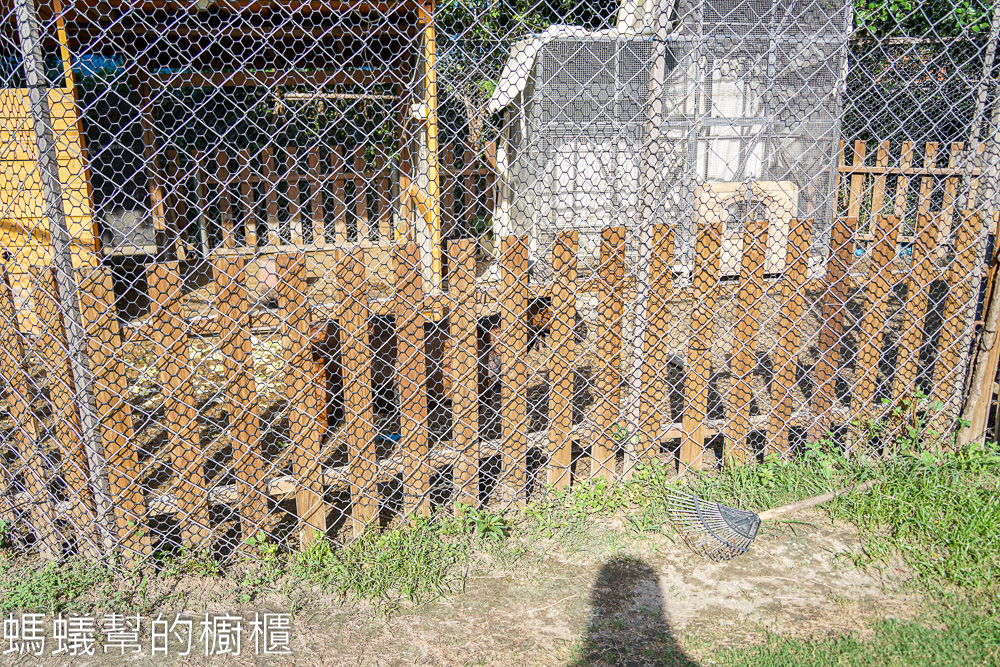 有樂莊園 | 田尾親子餐廳，沙坑、小火車、氣墊城堡，鬆餅咖啡。