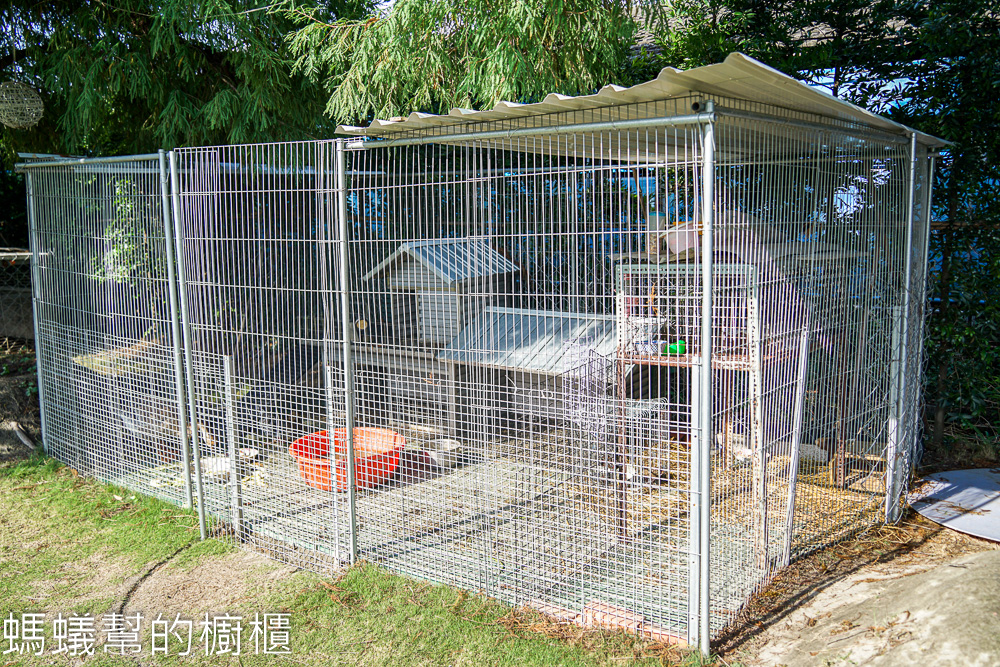 有樂莊園 | 田尾親子餐廳，沙坑、小火車、氣墊城堡，鬆餅咖啡。