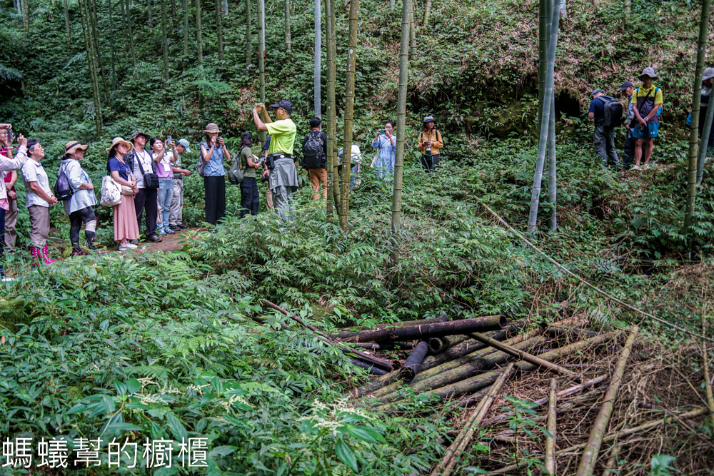 草嶺石壁森林木馬古道 | 雲林古坑「植語食」品在地食材。