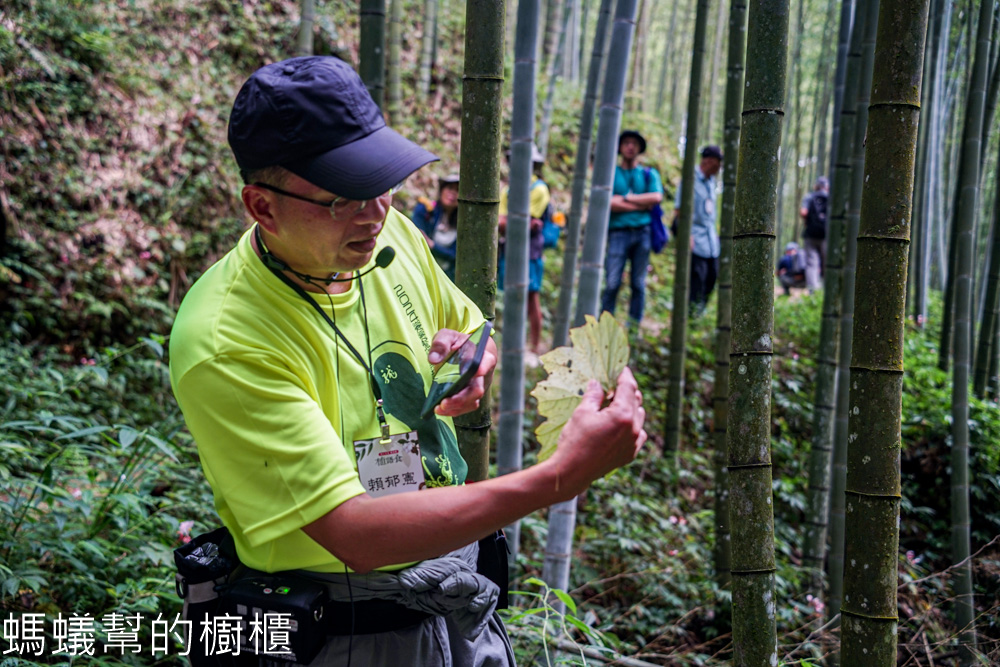 草嶺石壁森林木馬古道 | 雲林古坑「植語食」品在地食材。