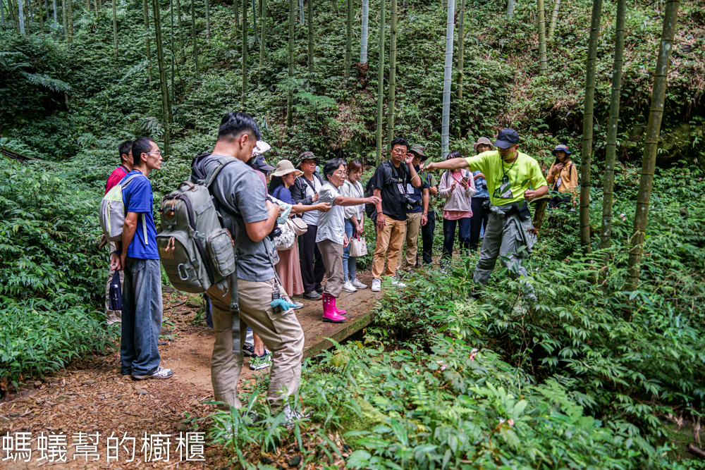 草嶺石壁森林木馬古道 | 雲林古坑「植語食」品在地食材。