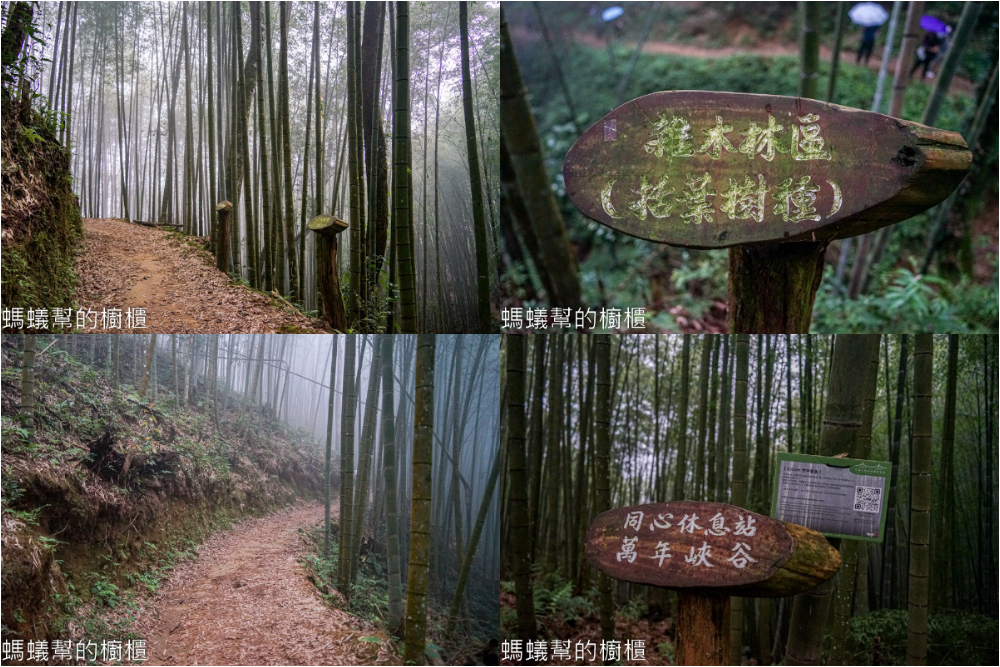 草嶺石壁森林木馬古道 | 雲林古坑「植語食」品在地食材。