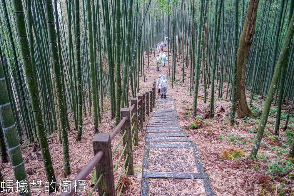 草嶺石壁森林木馬古道 | 雲林古坑「植語食」品在地食材。