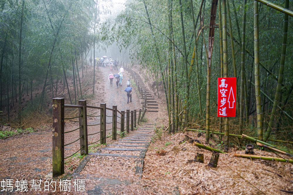 草嶺石壁森林木馬古道 | 雲林古坑「植語食」品在地食材。
