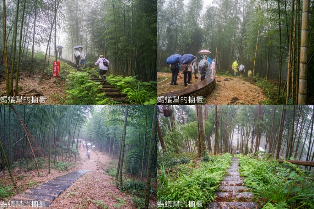 草嶺石壁森林木馬古道 | 雲林古坑「植語食」品在地食材。