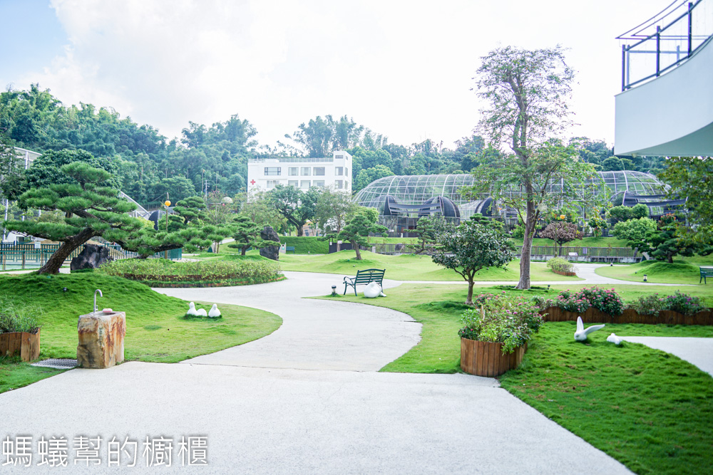 九九峰動物樂園 | 南投草屯珍稀鳥類動物園，可愛水豚、土撥鼠。