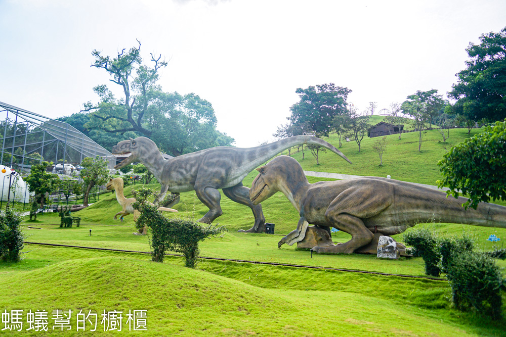 九九峰動物樂園 | 南投草屯珍稀鳥類動物園，可愛水豚、土撥鼠。