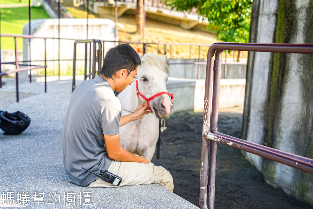 九九峰動物樂園 | 南投草屯珍稀鳥類動物園，可愛水豚、土撥鼠。
