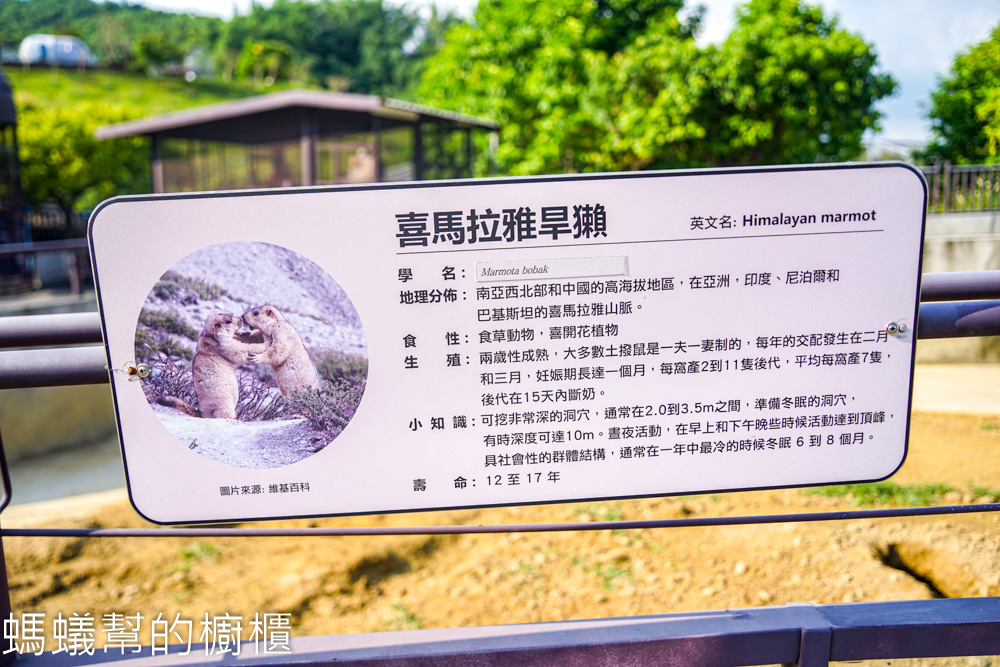 九九峰動物樂園 | 南投草屯珍稀鳥類動物園，可愛水豚、土撥鼠。