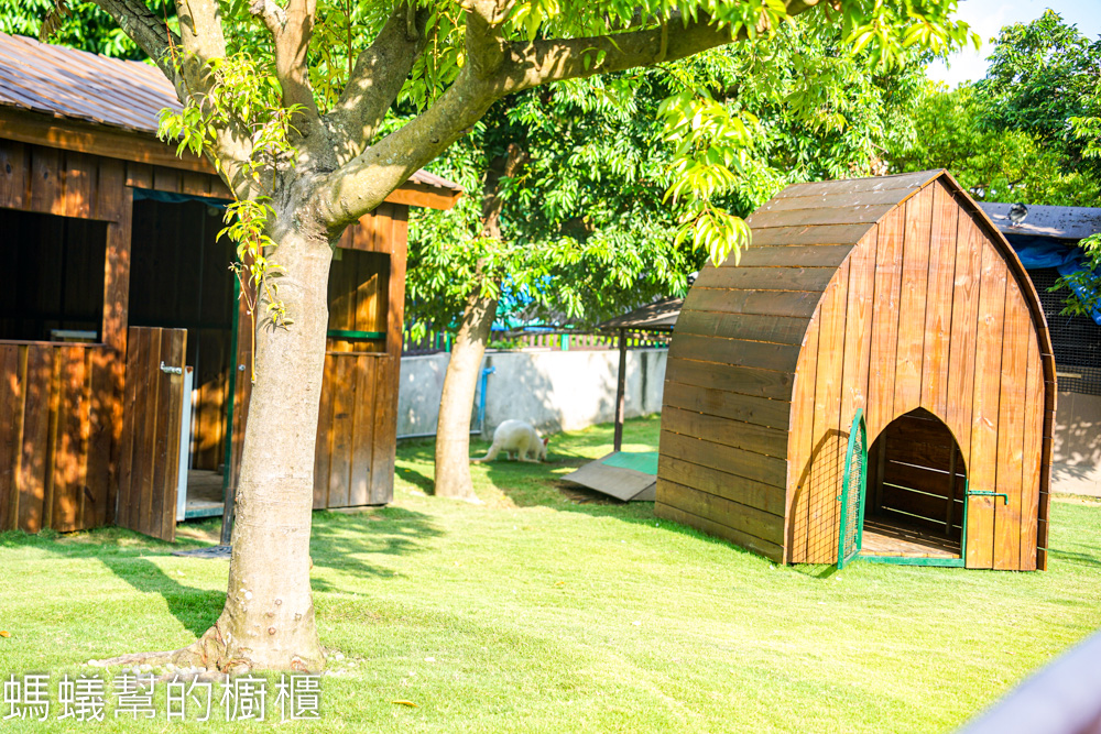 九九峰動物樂園 | 南投草屯珍稀鳥類動物園，可愛水豚、土撥鼠。