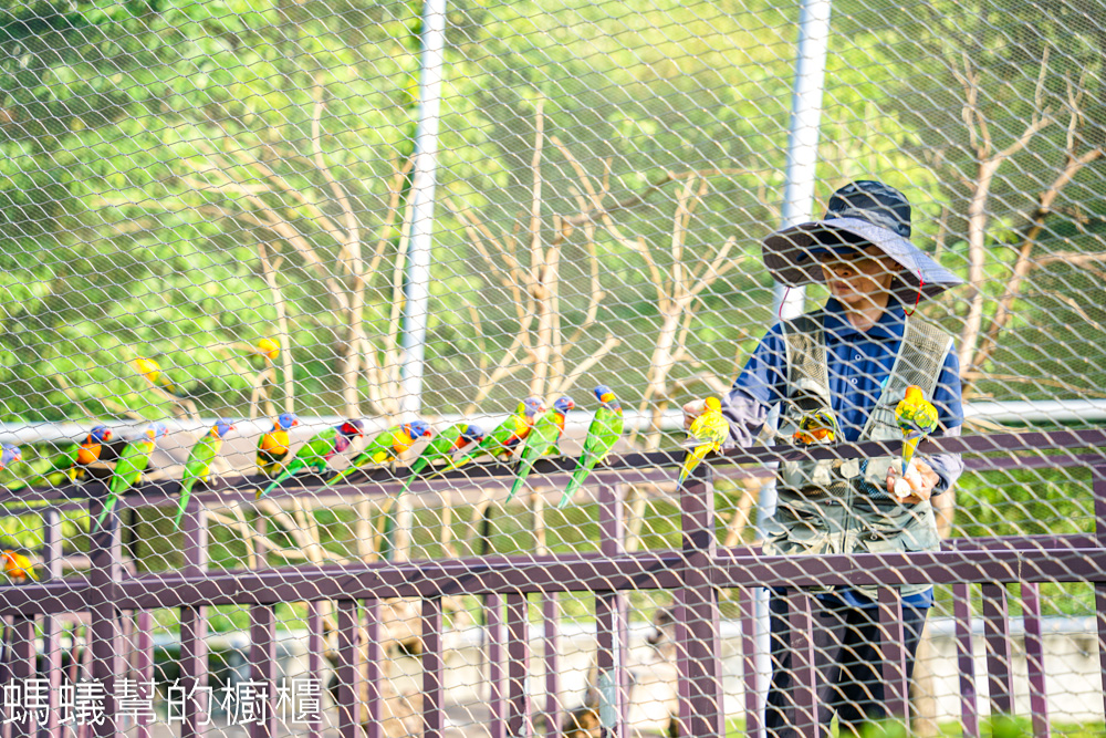 九九峰動物樂園 | 南投草屯珍稀鳥類動物園，可愛水豚、土撥鼠。