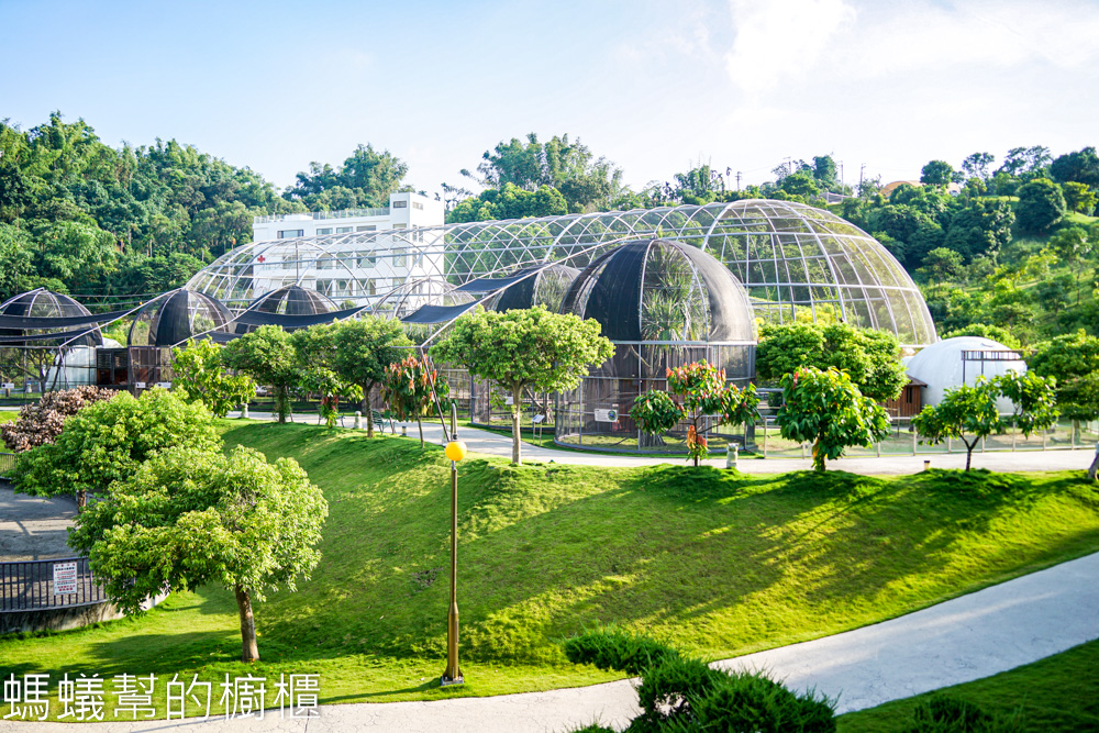 九九峰動物樂園 | 南投草屯珍稀鳥類動物園，可愛水豚、土撥鼠。