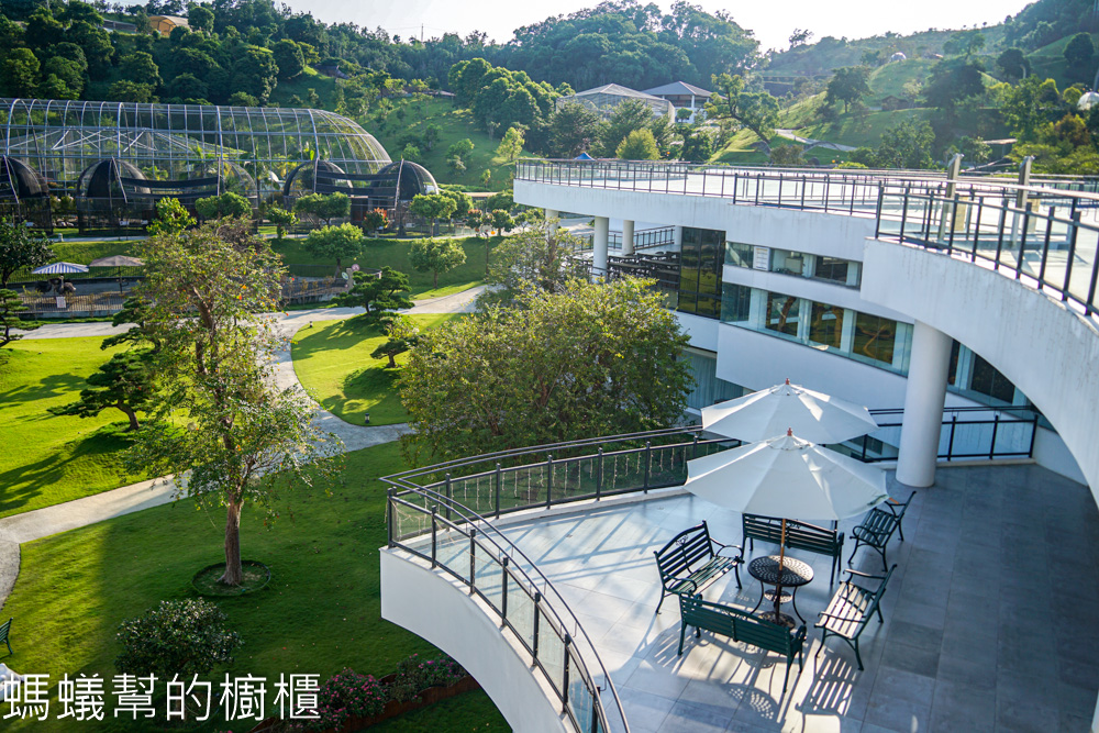 九九峰動物樂園 | 南投草屯珍稀鳥類動物園，可愛水豚、土撥鼠。
