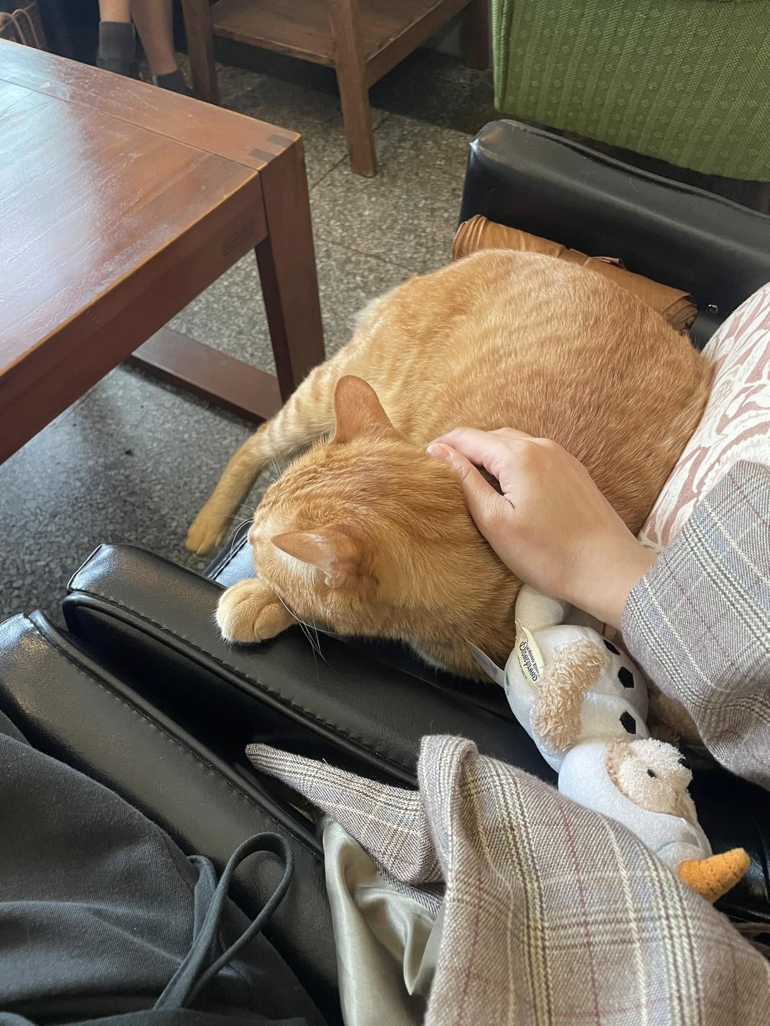 如常。所在