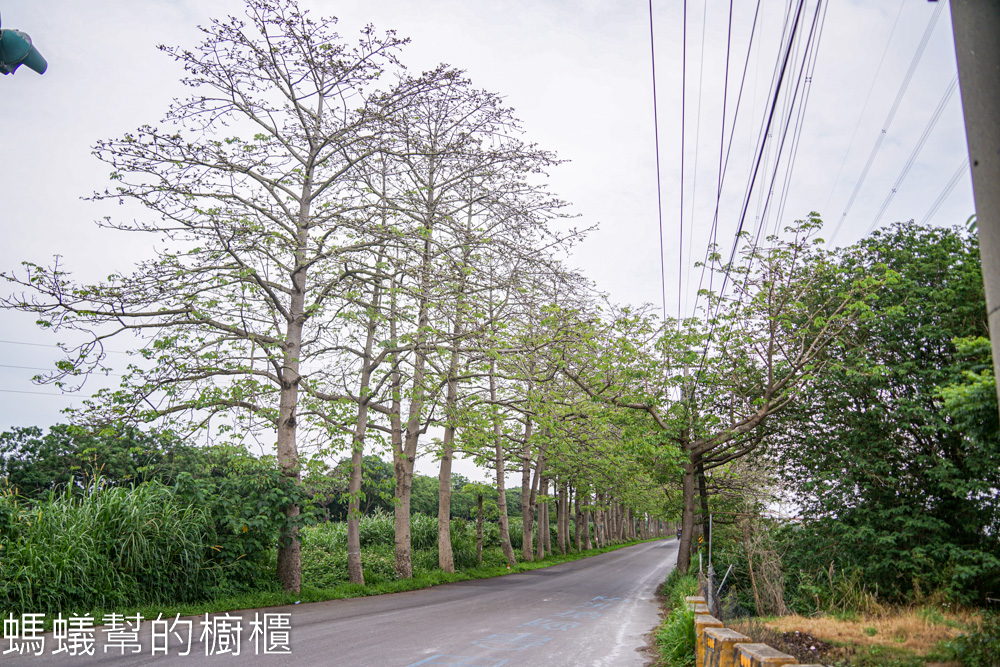藍車剉冰 | 彰化埤頭木棉花道旁，豆花刨冰、肉羹麵線，特色鐵皮屋。