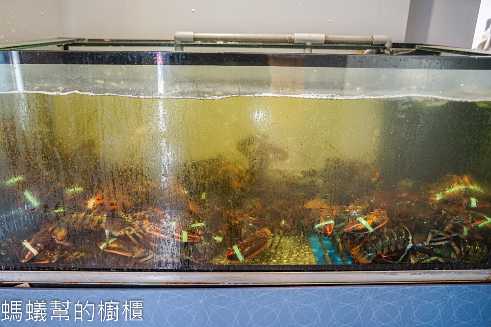 明水然・樂新竹林森店 | 約會慶生推薦，幾乎零負評無菜單鐵板燒。
