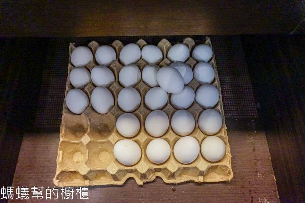 天辣麻辣火鍋(復興南) | 台北麻辣鴛鴦鍋吃到飽,肉類海鮮蔬菜無限自助。