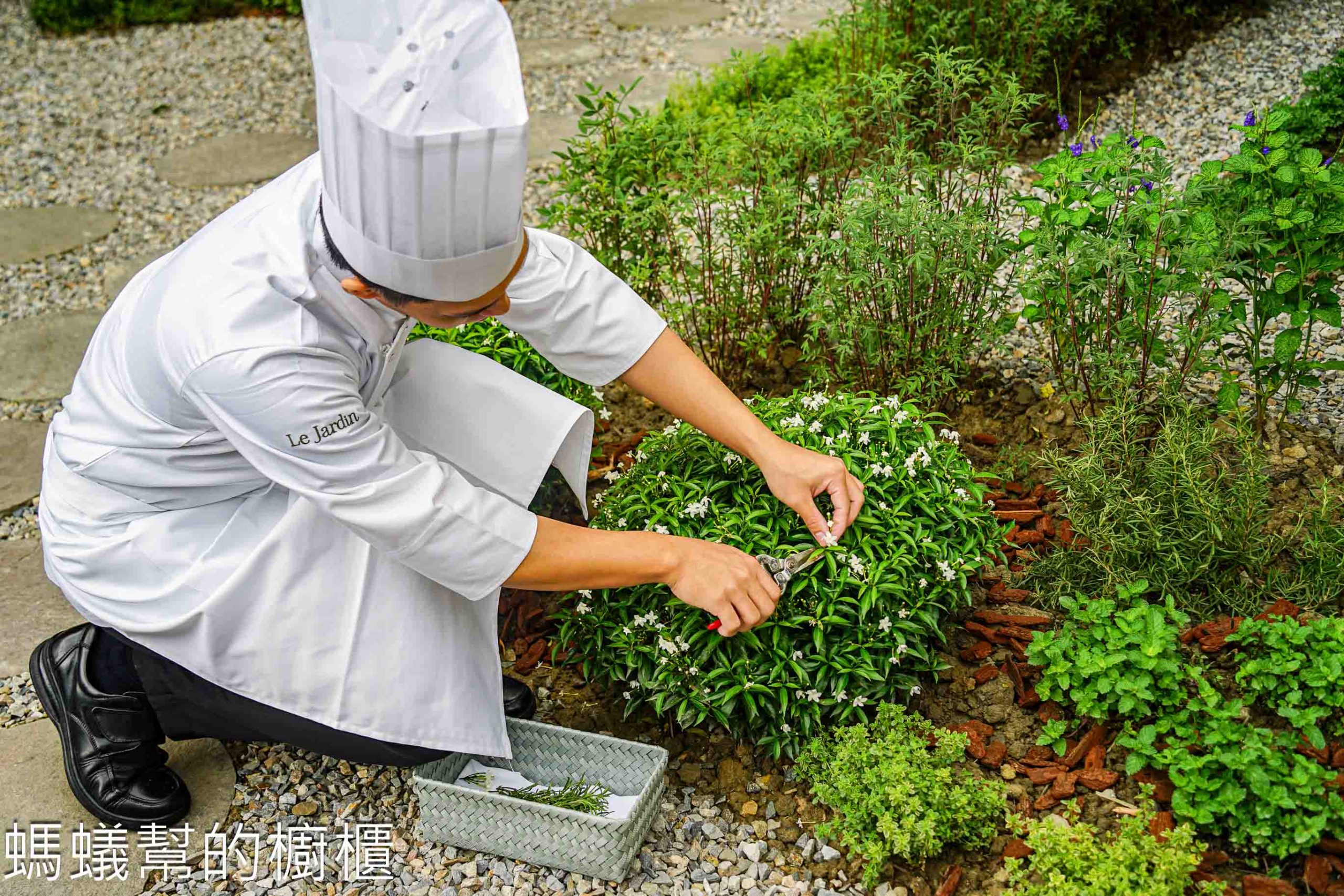 台中夏登法式鐵板燒