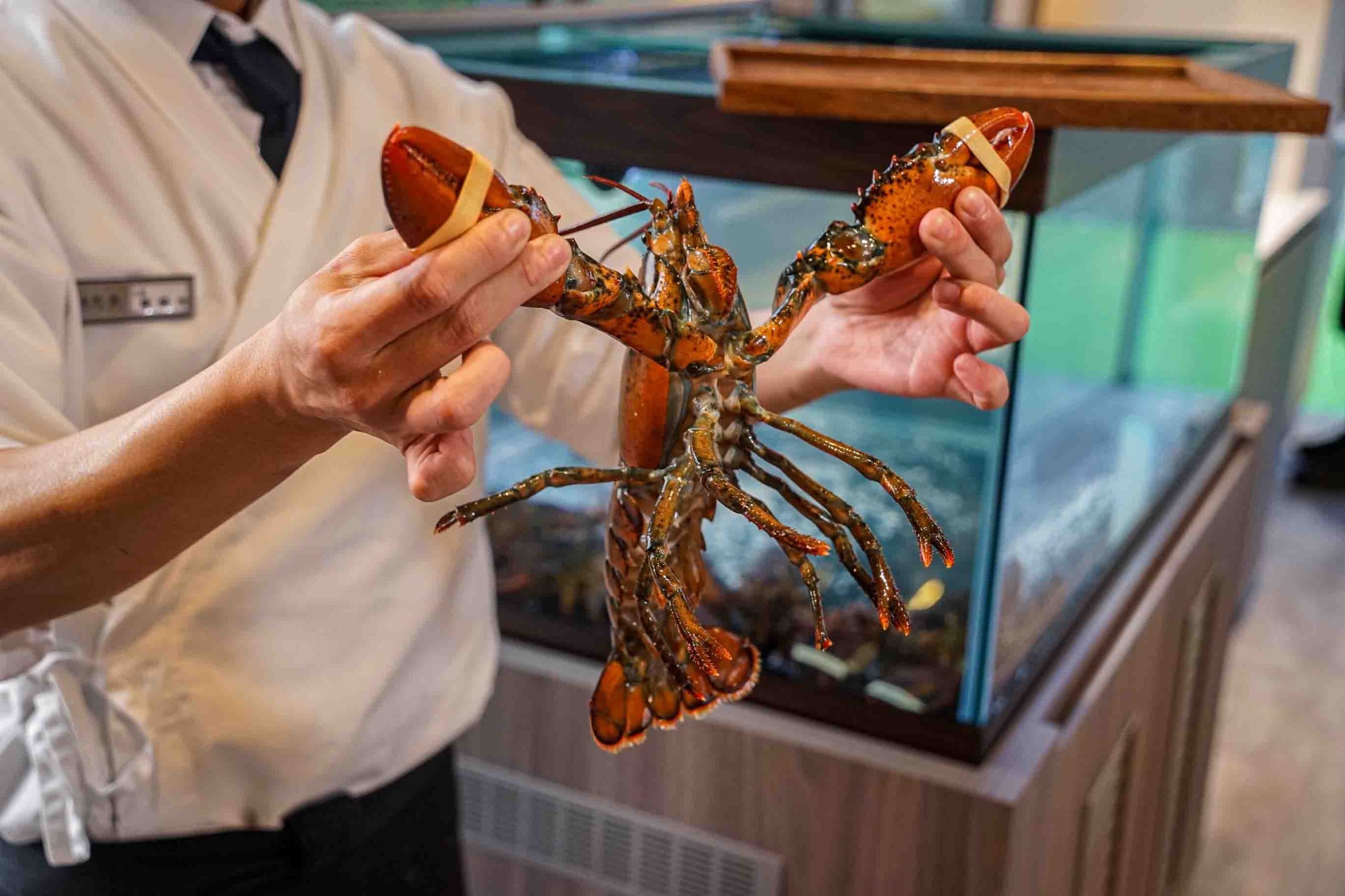 明水然·樂星享道店