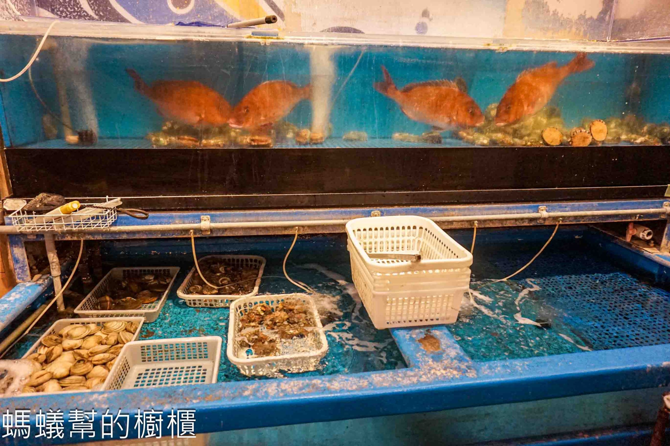 東京淺草磯丸水産海鮮居酒屋 | 東京人氣海鮮居酒之一